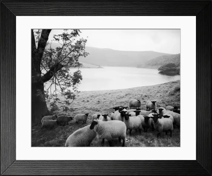 Framed Print : Ladybower Reservoir on the Snake Road to Sheffield. scenic - river lake Framed Print : Ladybower Reservoir on the Snake Road to Sheffield. scenic - river lake
