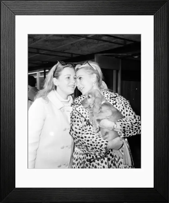 Framed Print : Actress Zsa Zsa Gabor arrives at London Heathrow Airport from New York Friday 20th Framed Print : Actress Zsa Zsa Gabor arrives at London Heathrow Airport from New York Friday 20th