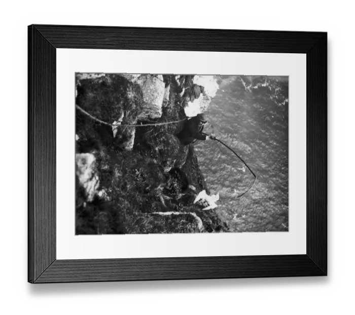 Framed Print : A St Kildan fowling on the cliffs of Hirta the main Island in the St Kilda archipelago Framed Print : A St Kildan fowling on the cliffs of Hirta the main Island in the St Kilda archipelago