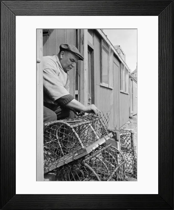 Framed Print : Rural scenes in North Yorkshire. Man repairing lobster pots. c. 1936 Framed Print : Rural scenes in North Yorkshire. Man repairing lobster pots. c. 1936