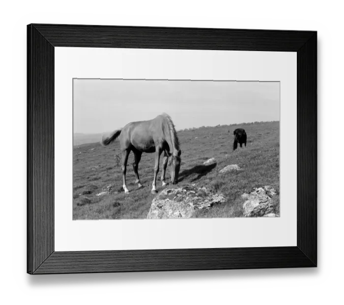 Framed Print : Grassington Moor, Yorkshire. September 1971