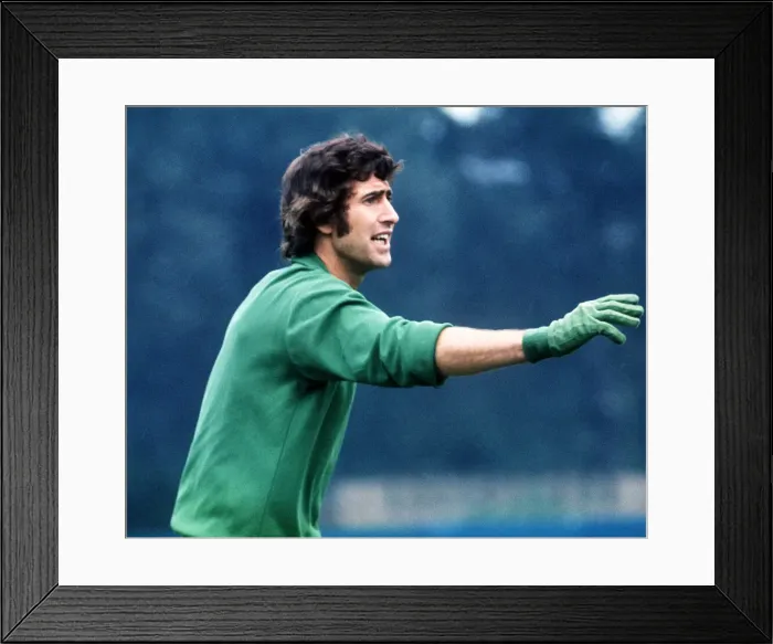 Framed Print : Peter Bonetti Chelsea goalkeeper 1972 football v Leeds Local Caption Framed Print : Peter Bonetti Chelsea goalkeeper 1972 football v Leeds Local Caption