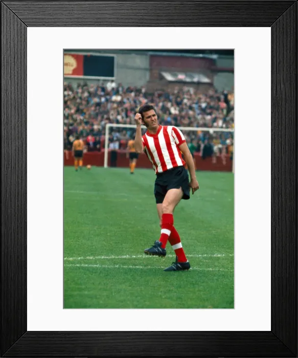 Framed Print : Southampton v Wolverhampton league match at The Dell. Terry Paine playing for Framed Print : Southampton v Wolverhampton league match at The Dell. Terry Paine playing for