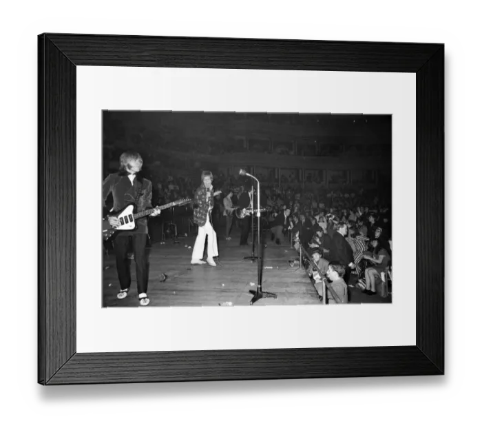 Framed Print : Rolling Stones at Royal Albert Hall, London. 23 September 1966 during their tour with Ike Framed Print : Rolling Stones at Royal Albert Hall, London. 23 September 1966 during their tour with Ike