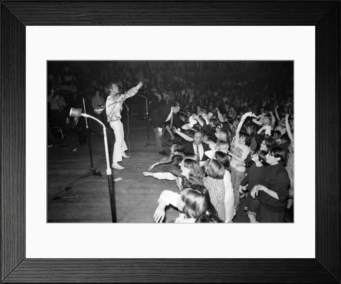 Framed Print : Rolling Stones at Royal Albert Hall, London. 23 September 1966 during their tour with Ike Framed Print : Rolling Stones at Royal Albert Hall, London. 23 September 1966 during their tour with Ike