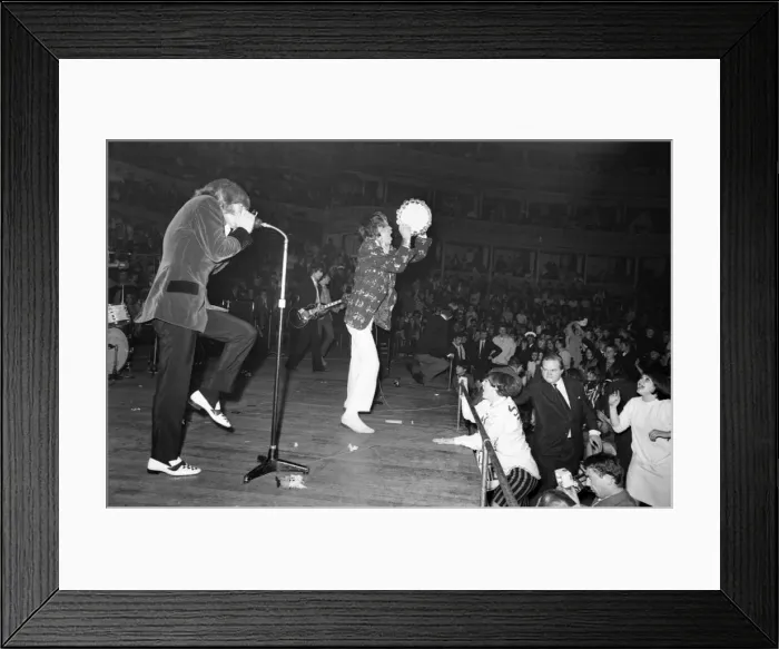Framed Print : Rolling Stones Royal Albert Hall, London. 23 September 1966 during their tour with Ike Framed Print : Rolling Stones Royal Albert Hall, London. 23 September 1966 during their tour with Ike