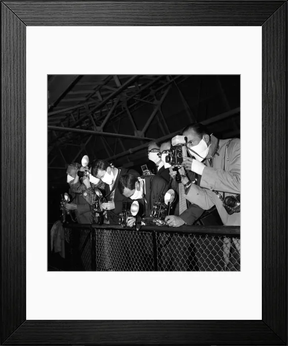Framed Print : Photographers wearing surgical masks as they take pictures of a baby Orang Utan called Framed Print : Photographers wearing surgical masks as they take pictures of a baby Orang Utan called