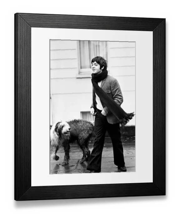Framed Print : Paul McCartney of The Beatles at his St Johns Wood, London, home Framed Print : Paul McCartney of The Beatles at his St Johns Wood, London, home