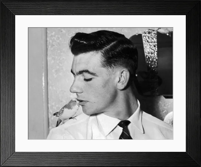 Framed Print : Johnny Haynes of Fulham FC with his pet Budgie Bimbo 16th October 1955