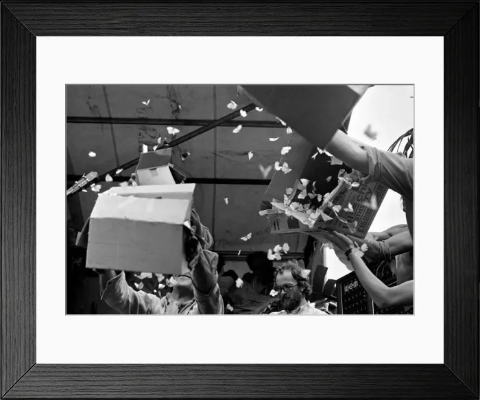 Framed Print : Butterflies released at The Rolling Stones free concert in London Framed Print : Butterflies released at The Rolling Stones free concert in London
