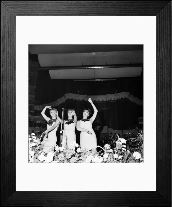 Framed Print : The Vernons Girls at The Great Pop Prom at the Royal Albert Hall Framed Print : The Vernons Girls at The Great Pop Prom at the Royal Albert Hall