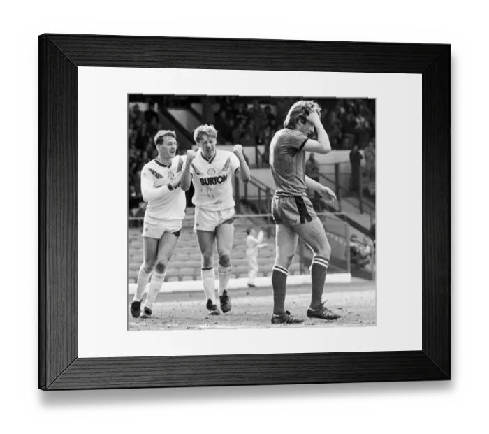 Framed Print : Leeds United 4 v. Plymouth 0. Plymouth defender John Matthews in despair as Ian Framed Print : Leeds United 4 v. Plymouth 0. Plymouth defender John Matthews in despair as Ian