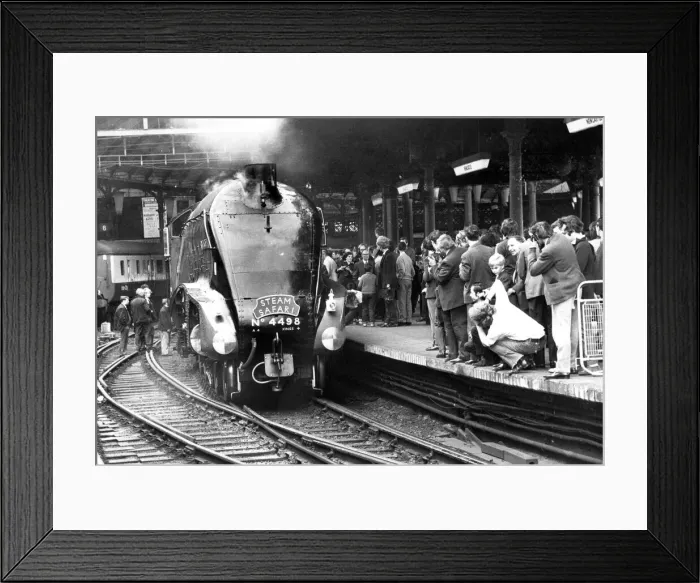 Framed Print : Steam engine No. 4498 the Sir Nigel Gresley at Newcastle Station on 12th June 1972 Framed Print : Steam engine No. 4498 the Sir Nigel Gresley at Newcastle Station on 12th June 1972