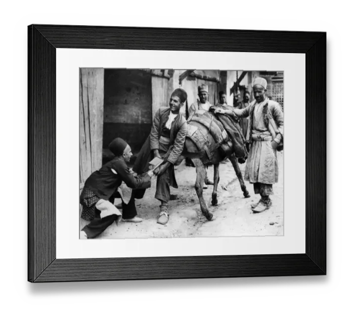 Framed Print : Persians shoeing a mule in Hamadan, capital city of Hamadan Province of Iran. Circa 1926
