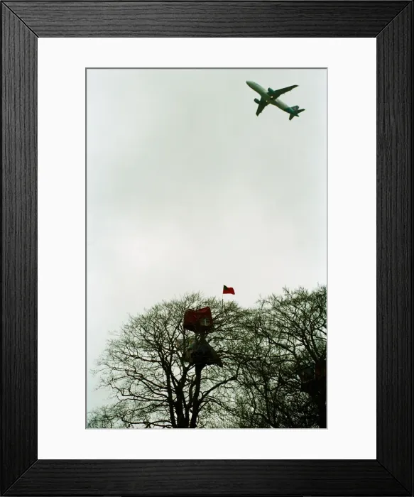 Framed Print : Environmental Demonstrators camped in tree at Manchester Airport to protest against