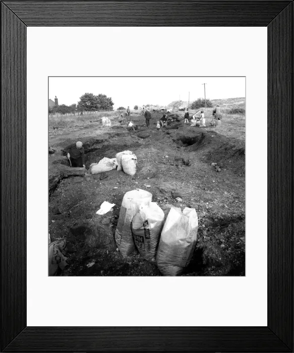 Framed Print : The people of Craghead in County Durham are taking the chance of a bit of free coal by Framed Print : The people of Craghead in County Durham are taking the chance of a bit of free coal by