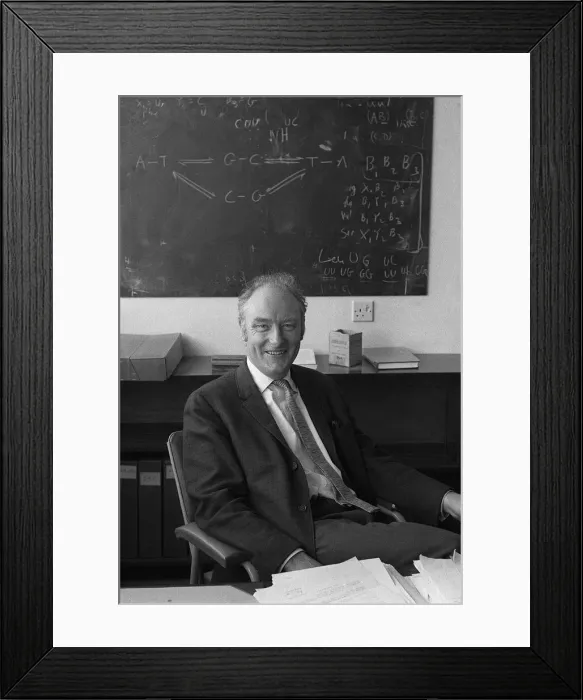 Framed Print : Picture of Doctor Francis Crick, co-discoverer of the structure of the DNA molecule in Framed Print : Picture of Doctor Francis Crick, co-discoverer of the structure of the DNA molecule in