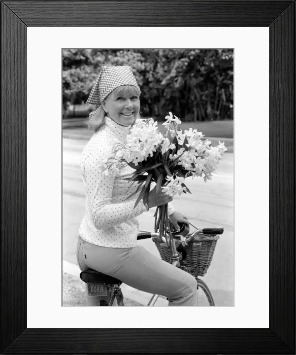 Framed Print : Doris Day seen holding a bunch of flowers on her bicyle Framed Print : Doris Day seen holding a bunch of flowers on her bicyle