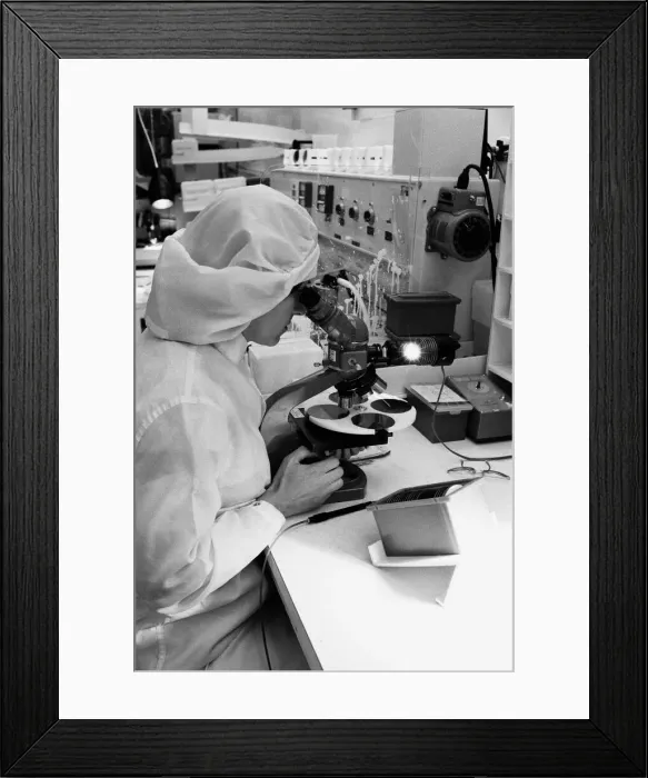 Framed Print : Silicon Valley, Santa Clara, California, USA, August 1978 Framed Print : Silicon Valley, Santa Clara, California, USA, August 1978