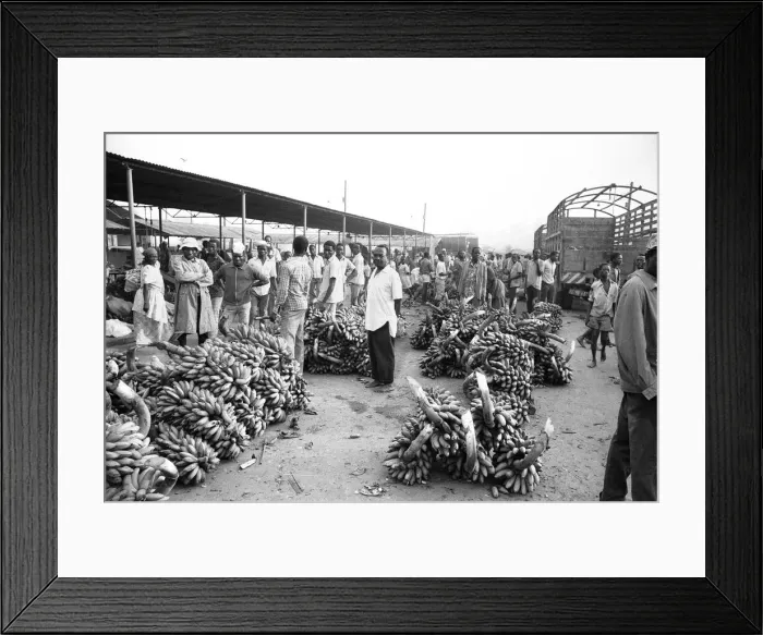 Framed Print : Bananas for sale at a market in Kampala, Uganda. 27th February 1977 Framed Print : Bananas for sale at a market in Kampala, Uganda. 27th February 1977