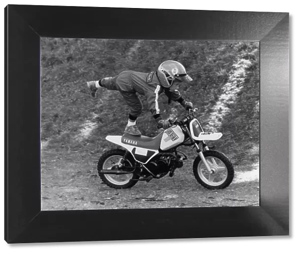 Children: Sports: Watch out Eddie Kidd and all you other stunt bike riders - a