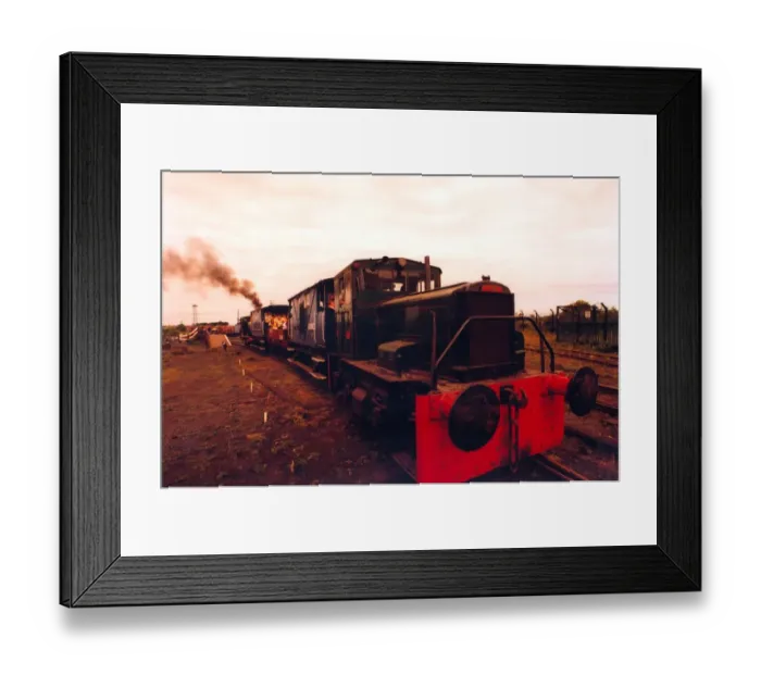 Framed Print : Children from Sunningdale School, Sunderland on a steam locomotive at Bowes Railway