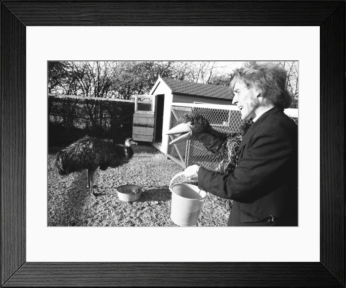 Framed Print : Rod Hull and emu seen here at Twycross Zoo in Leicestershire Framed Print : Rod Hull and emu seen here at Twycross Zoo in Leicestershire