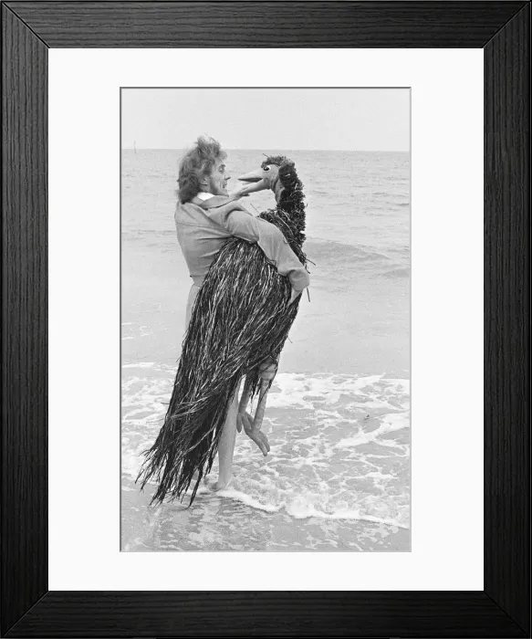 Framed Print : Rod Hull and Emu seen here terrorising the holidaymakers on Clactons beaches Framed Print : Rod Hull and Emu seen here terrorising the holidaymakers on Clactons beaches