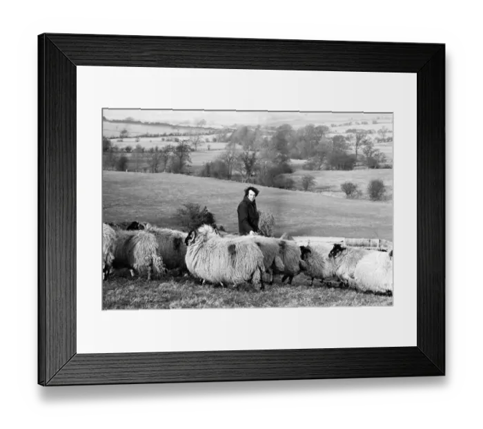 Framed Print : Russell Harty at his farm house near the market town of Settle in North Yorkshire Framed Print : Russell Harty at his farm house near the market town of Settle in North Yorkshire