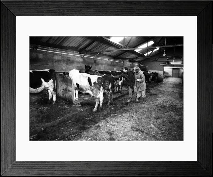 Framed Print : Russell Harty & close friend Madge Hindle, pictured at their farm house near the market Framed Print : Russell Harty & close friend Madge Hindle, pictured at their farm house near the market