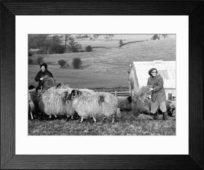 Framed Print : Russell Harty & close friend Madge Hindle, pictured at their farm house near the market Framed Print : Russell Harty & close friend Madge Hindle, pictured at their farm house near the market