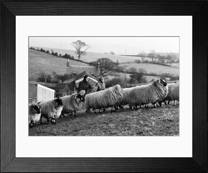 Framed Print : Russell Harty & close friend Madge Hindle, pictured at their farm house near the market Framed Print : Russell Harty & close friend Madge Hindle, pictured at their farm house near the market