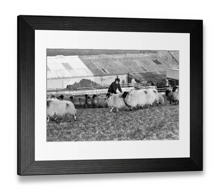 Framed Print : Russell Harty at his farm house near the market town of Settle in North Yorkshire