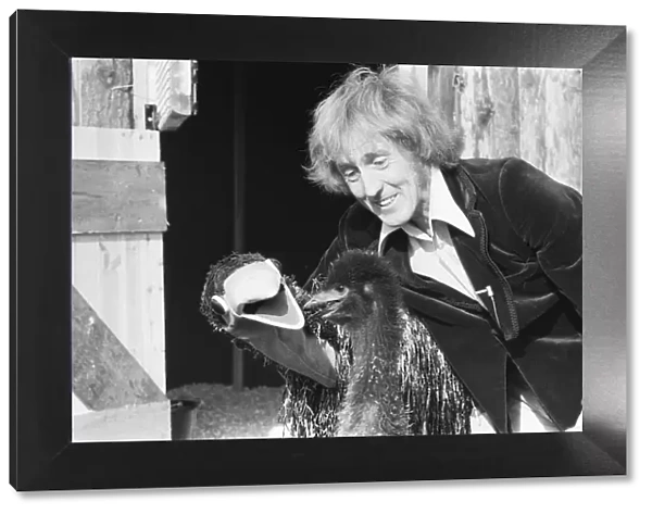 Rod Hull and emu seen here at Drusillas Zoo Park in East Sussex, to meet two baby emus
