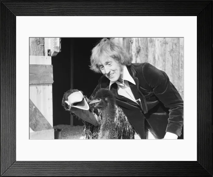 Framed Print : Rod Hull and emu seen here at Drusillas Zoo Park in East Sussex, to meet two baby emus Framed Print : Rod Hull and emu seen here at Drusillas Zoo Park in East Sussex, to meet two baby emus