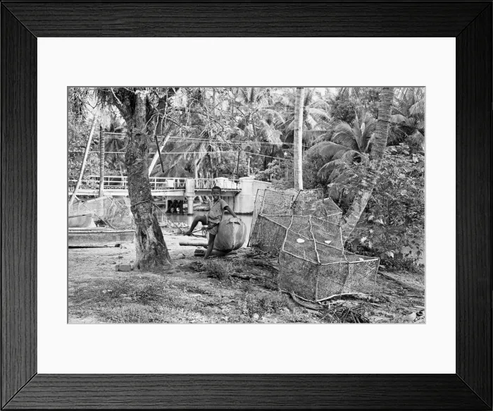 Framed Print : West Indies, February 1965 Framed Print : West Indies, February 1965