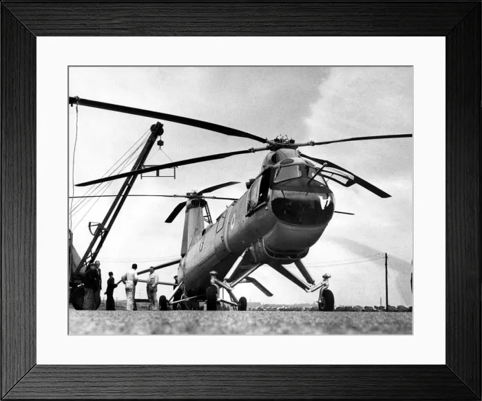 Framed Print : A Bristol 192 Belvedere twin engine RAF helicopter. 13 / 09 / 1962 Framed Print : A Bristol 192 Belvedere twin engine RAF helicopter. 13 / 09 / 1962