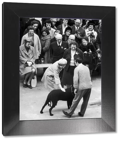 The Queen at Crufts Dog Show, Olympia, London. 10th February 1969