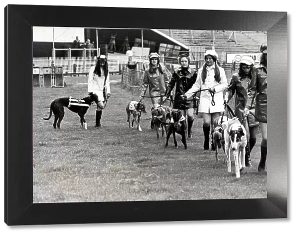 Greyhound racing picture shows: Grand parade, before the off by the dogs