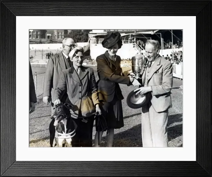Framed Print : Greyhound racing picture shows: Negros Lad, owned by Mr. W. A Framed Print : Greyhound racing picture shows: Negros Lad, owned by Mr. W. A