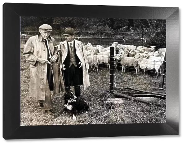 Sheepdog Trials - Mel Williams of Green Meadow, Llanfair