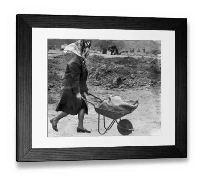 Framed Print : A housewife, cigarette dangling from her lips, nonchalantly wheels away a barrowload of