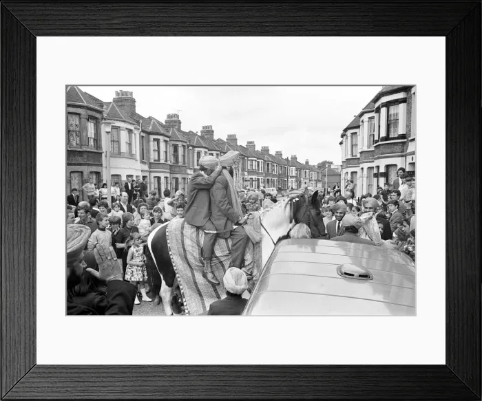 Framed Print : Sikh groom makes traditional departure, on a horse, for his wedding Framed Print : Sikh groom makes traditional departure, on a horse, for his wedding