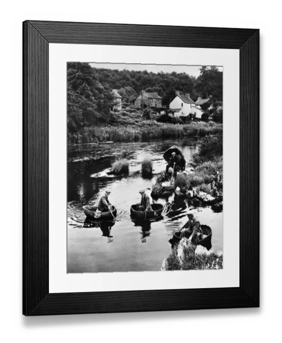 Framed Print : Coracles 1945: Following a pattern evolved over two thousand years ago Framed Print : Coracles 1945: Following a pattern evolved over two thousand years ago
