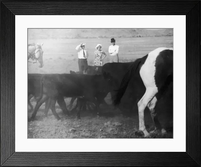 Framed Print : Royal Tour of Australia. The Queen and The Duke of Edinburgh watching stockmen round up Framed Print : Royal Tour of Australia. The Queen and The Duke of Edinburgh watching stockmen round up