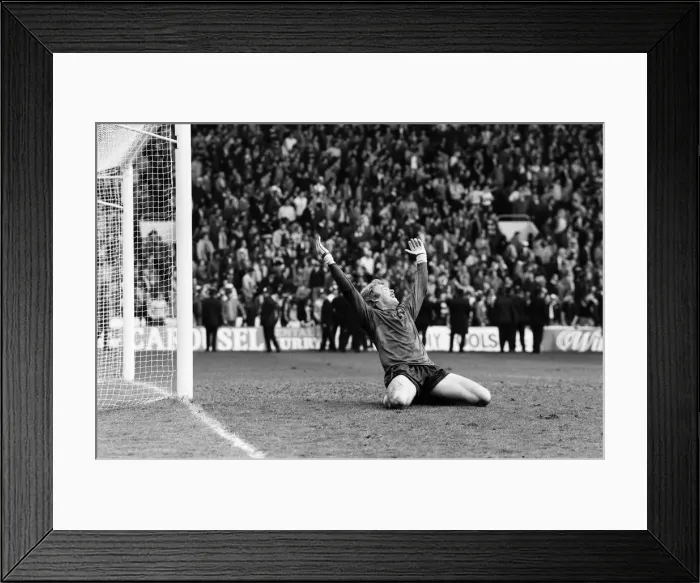 Framed Print : FA Cup Semi Final. Wolverhampton Wanderers Vs. Tottenham Hotspur