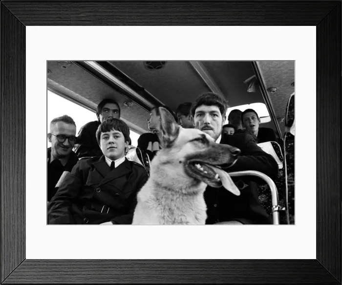 Framed Print : Wolverhampton Wanderers fans with a Guard dog on their coach for an away game against Framed Print : Wolverhampton Wanderers fans with a Guard dog on their coach for an away game against