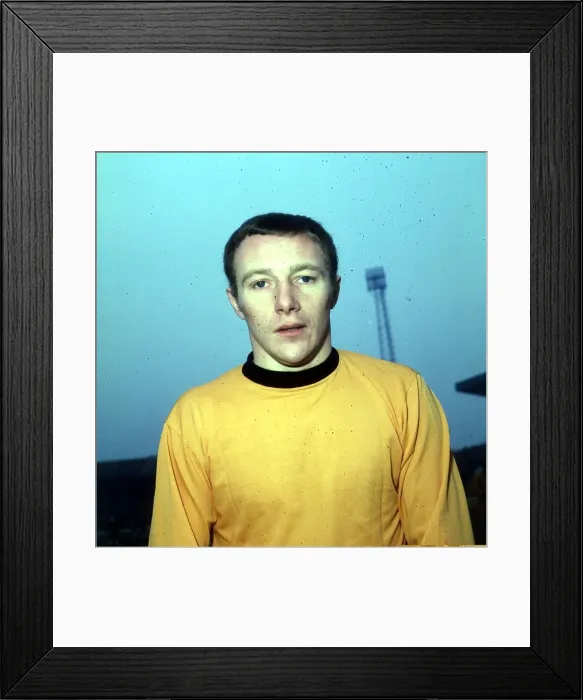 Framed Print : Michael John Kenning of Wolves. 1969 Framed Print : Michael John Kenning of Wolves. 1969
