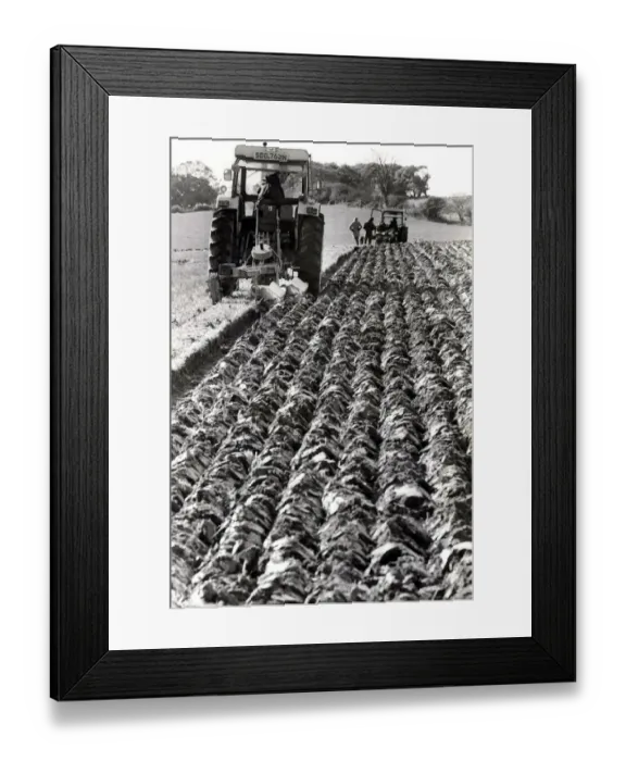 Framed Print : Ploughing - The Wick and Maendy Ploughing Society, held their 22nd annual ploughing match Framed Print : Ploughing - The Wick and Maendy Ploughing Society, held their 22nd annual ploughing match