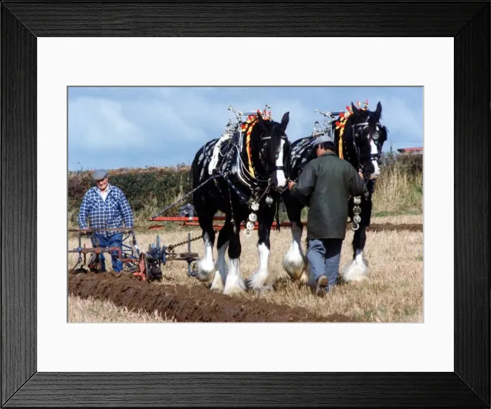 Framed Print : Ploughing - Dead ahead... competitors from England, Scotland Framed Print : Ploughing - Dead ahead... competitors from England, Scotland